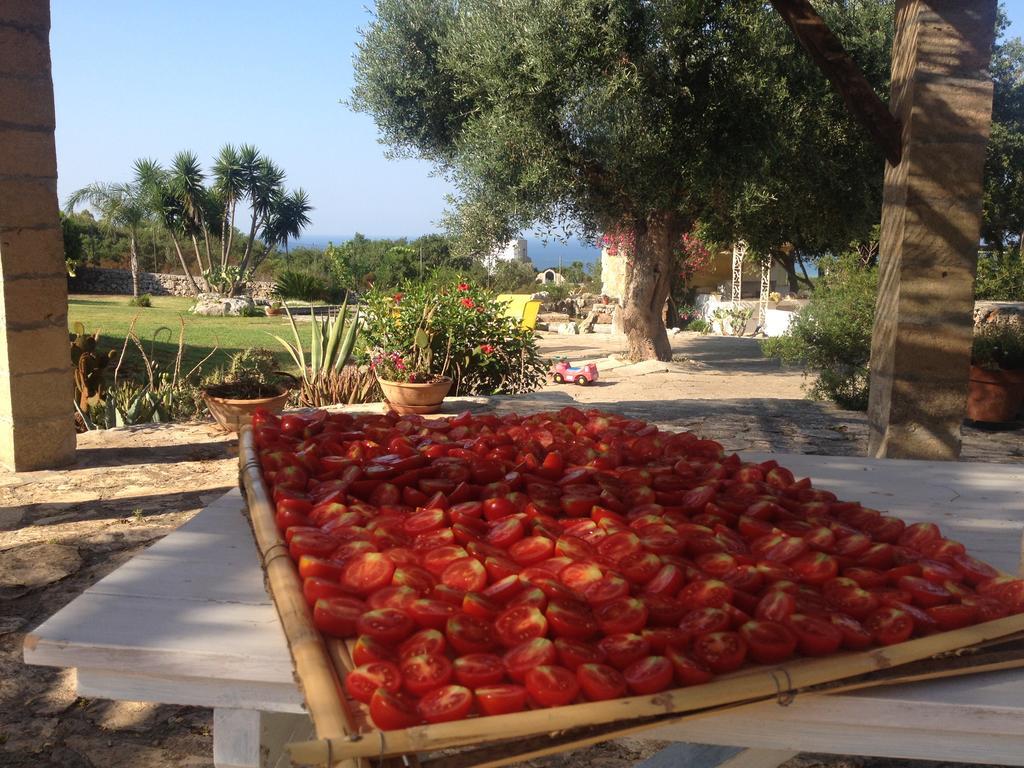 Contrada Borgin Bed and Breakfast Marina Di Pescoluse Εξωτερικό φωτογραφία