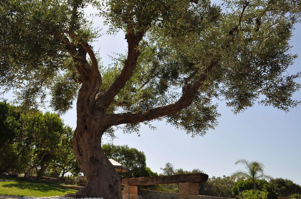 Contrada Borgin Bed and Breakfast Marina Di Pescoluse Εξωτερικό φωτογραφία